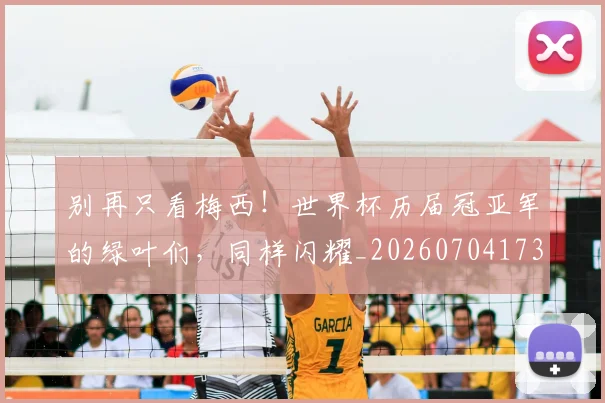 别再只看梅西!世界杯历届冠亚军的绿叶们,同样闪耀_20260704173723