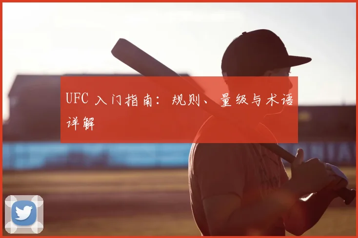 UFC 入门指南：规则、量级与术语详解