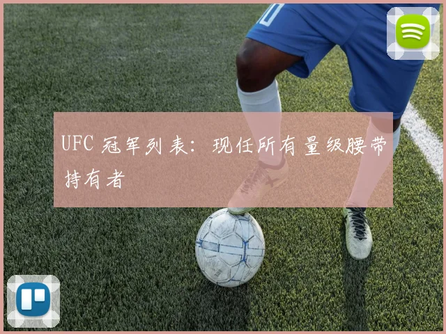 UFC 冠军列表:现任所有量级腰带持有者