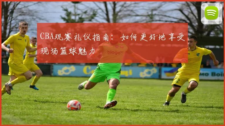 CBA观赛礼仪指南：如何更好地享受现场篮球魅力