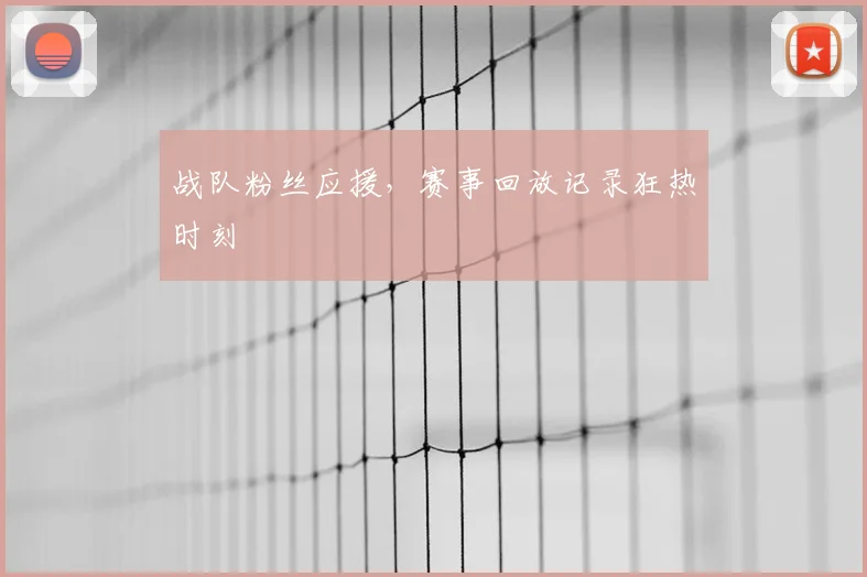 战队粉丝应援,赛事回放记录狂热时刻