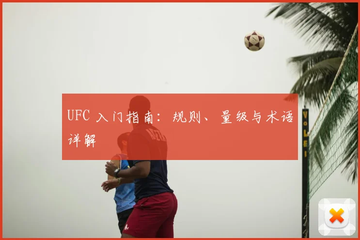 UFC 入门指南：规则、量级与术语详解